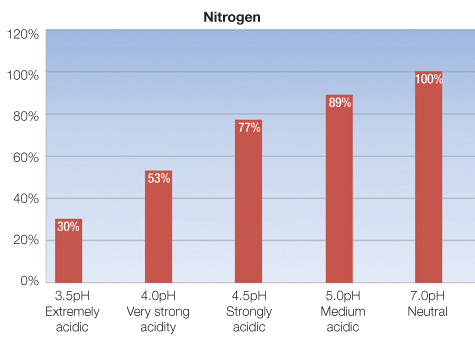 Glencoe Lime - Nitrogen chart