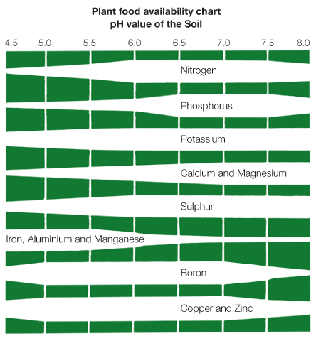 Plant Food availability